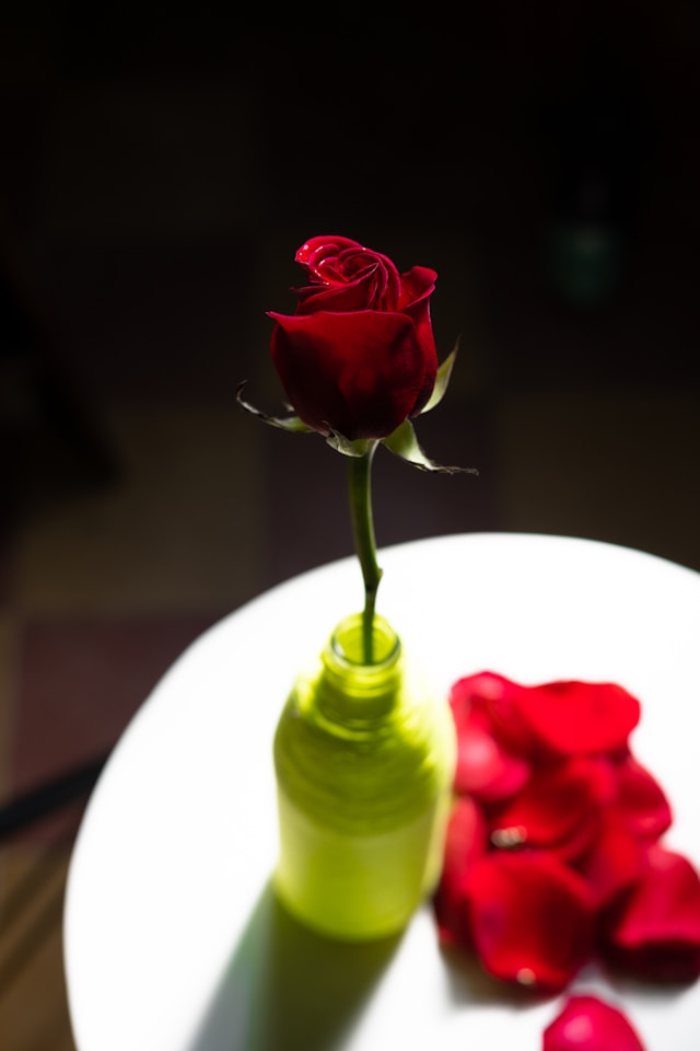 אתר היכרויות הכרם - מגוון גברים ונשים שמחכים לך-2025-12-29 15-55-40